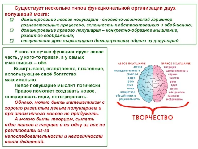 Существует несколько типов функциональной организации двух полушарий мозга: доминирование левого