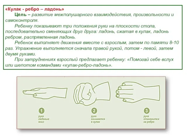 «Кулак - ребро – ладонь» Цель – развитие межполушарного взаимодействия,