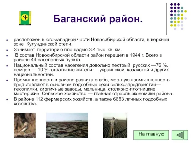 Баганский район. расположен в юго-западной части Новосибирской области, в верхней