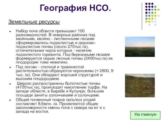 География НСО. Набор почв области превышает 100 разновидностей. В северных