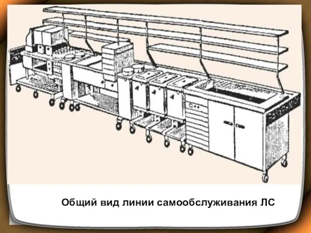 Общий вид линии самообслуживания ЛС