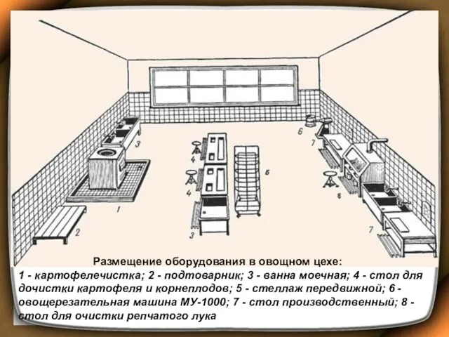 Размещение оборудования в овощном цехе: 1 - картофелечистка; 2 -