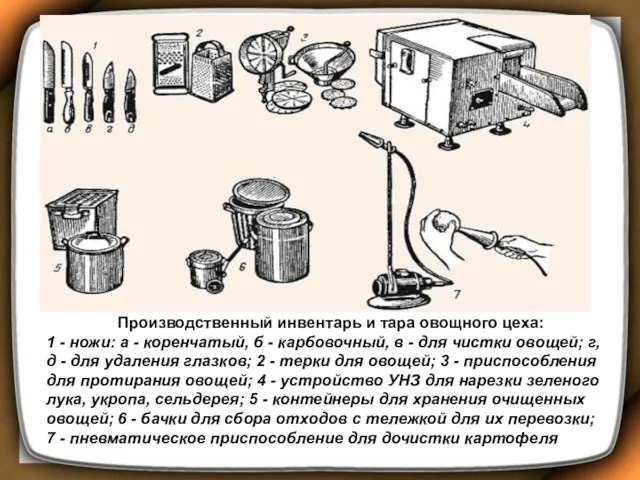 Производственный инвентарь и тара овощного цеха: 1 - ножи: а