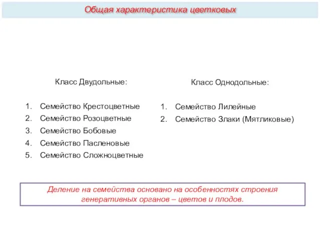 Класс Двудольные: Семейство Крестоцветные Семейство Розоцветные Семейство Бобовые Семейство Пасленовые