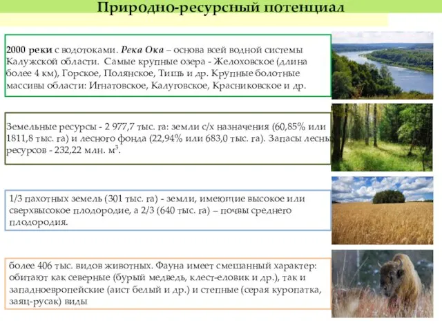 Природно-ресурсный потенциал более 406 тыс. видов животных. Фауна имеет смешанный