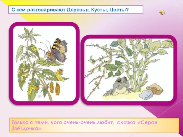 С кем разговаривают Деревья, Кусты, Цветы? Только с теми, кого очень-очень любят, сказка «Серая Звёздочка».