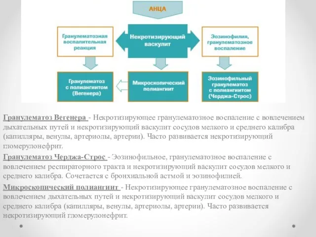 Гранулематоз Вегенера - Некротизирующее гранулематозное воспаление с вовлечением дыхательных путей