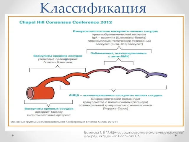 Классификация Бакетова Т. В. "АНЦА-ассоциированные системные васкулиты" под ред. академика Насонова Е.Л.