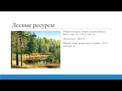 Лесные ресурсы Общая площадь земель лесного фонда, всего, тыс. га