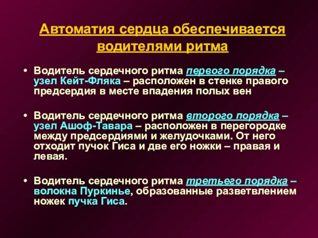 Автоматия сердца обеспечивается водителями ритма Водитель сердечного ритма первого порядка