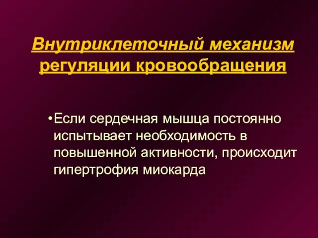 Внутриклеточный механизм регуляции кровообращения Если сердечная мышца постоянно испытывает необходимость в повышенной активности, происходит гипертрофия миокарда