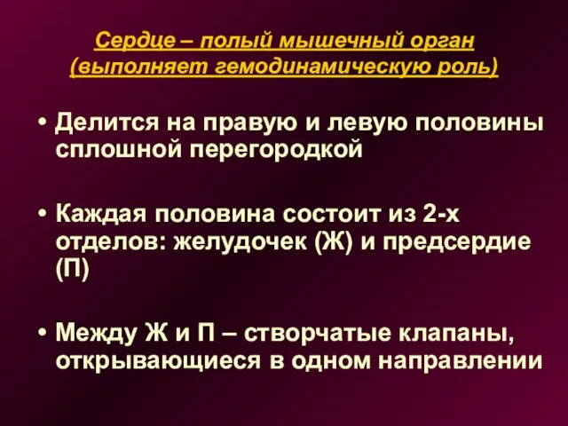 Сердце – полый мышечный орган (выполняет гемодинамическую роль) Делится на