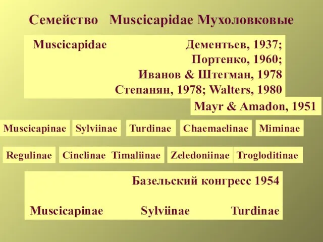 Семейство Muscicapidae Мухоловковые Базельский конгресс 1954 Muscicapinae Sylviinae Turdinae Muscicapidae