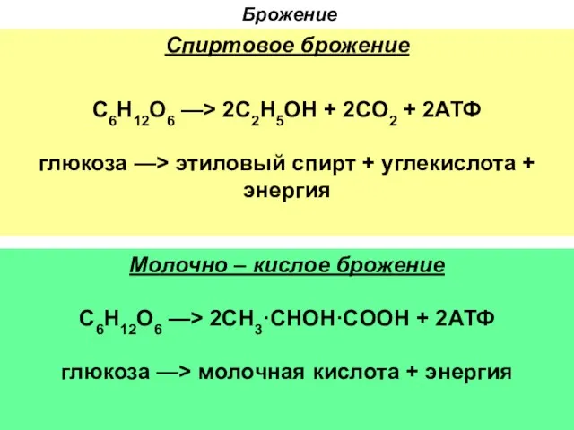 Брожение Спиртовое брожение C6H12O6 —> 2C2H5OH + 2CO2 + 2АТФ