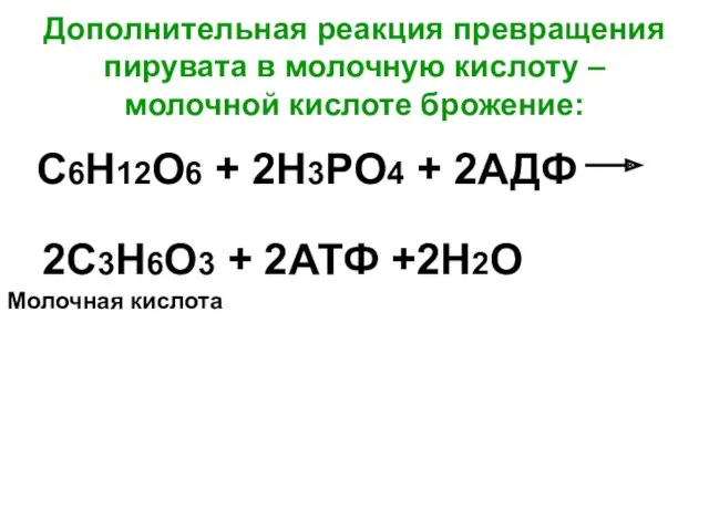 Дополнительная реакция превращения пирувата в молочную кислоту – молочной кислоте