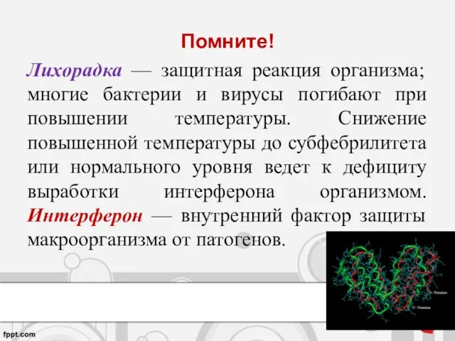 Помните! Лихорадка — защитная реакция организма; многие бактерии и вирусы