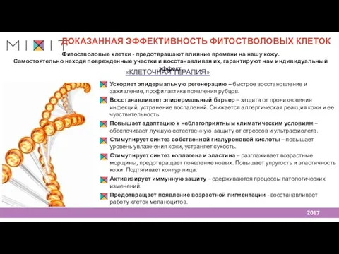 ДОКАЗАННАЯ ЭФФЕКТИВНОСТЬ ФИТОСТВОЛОВЫХ КЛЕТОК Фитостволовые клетки - предотвращают влияние времени