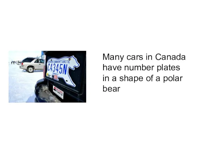 Many cars in Canada have number plates in a shape of a polar bear