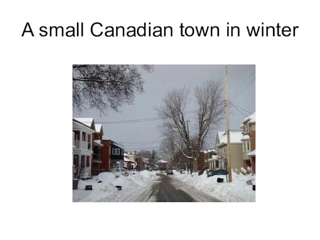 A small Canadian town in winter