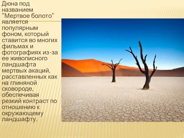 Дюна под названием "Мертвое болото" является популярным фоном, который ставится