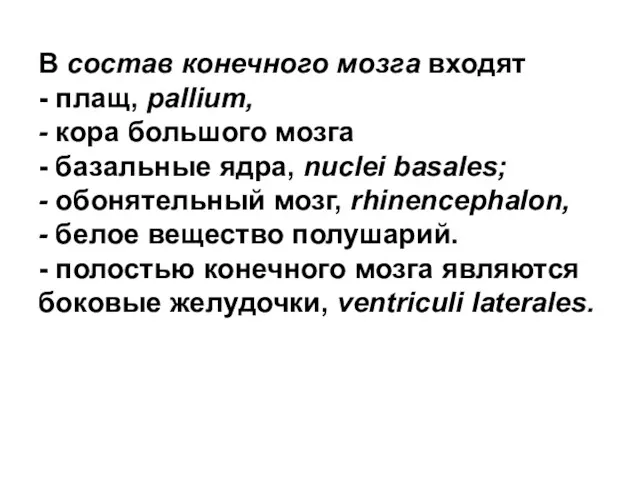 В состав конечного мозга входят - плащ, pallium, - кора