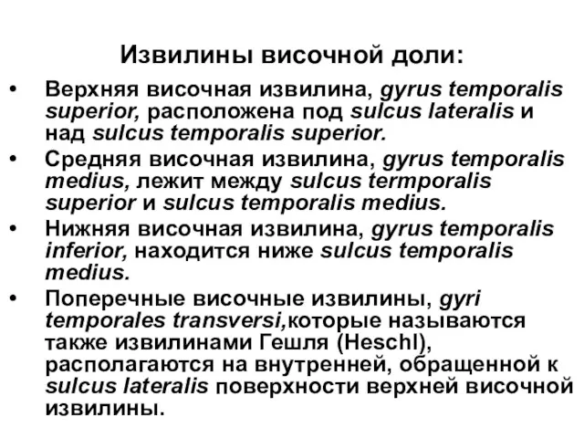 Извилины височной доли: Верхняя височная извилина, gyrus temporalis superior, расположена