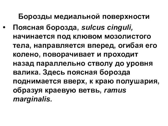 Борозды медиальной поверхности Поясная борозда, sulcus cinguli, начинается под клювом