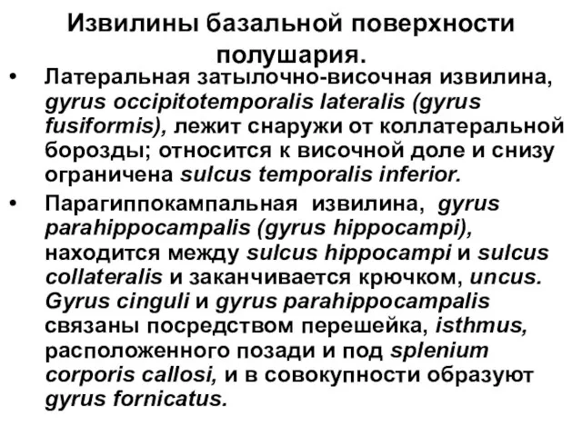 Извилины базальной поверхности полушария. Латеральная затылочно-височная извилина, gyrus occipitotemporalis lateralis