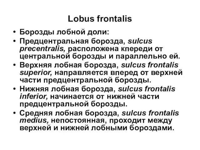 Lobus frontalis Борозды лобной доли: Предцентральная борозда, sulcus precentralis, расположена