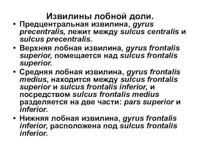 Извилины лобной доли. Предцентральная извилина, gyrus precentralis, лежит между sulcus