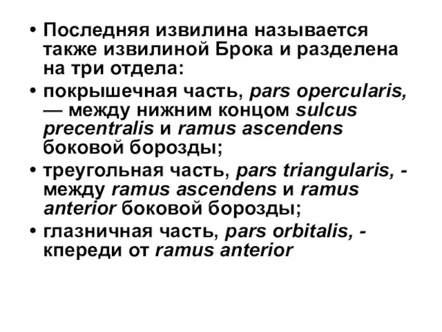 Последняя извилина называется также извилиной Брока и разделена на три