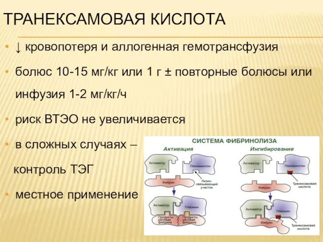 ТРАНЕКСАМОВАЯ КИСЛОТА ↓ кровопотеря и аллогенная гемотрансфузия болюс 10-15 мг/кг