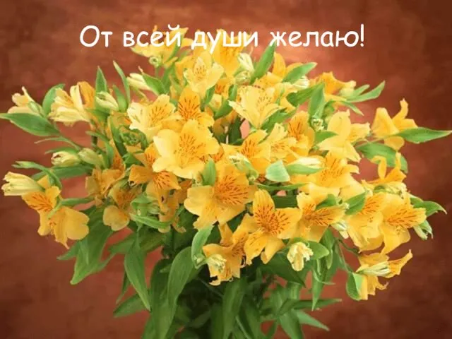 От всей души желаю!