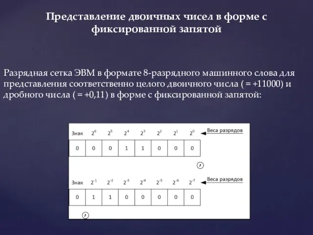 Разрядная сетка ЭВМ в формате 8-разрядного машинного слова для представления