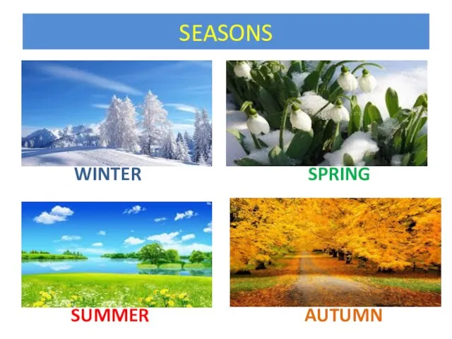 SEASONS WINTER SPRING SUMMER AUTUMN