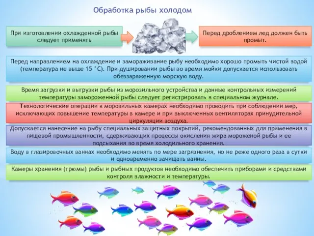 Обработка рыбы холодом При изготовлении охлажденной рыбы следует применять Перед