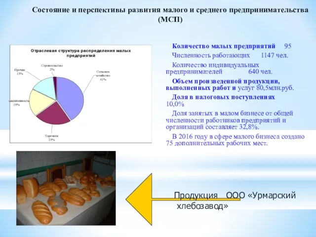 Состояние и перспективы развития малого и среднего предпринимательства (МСП) Количество