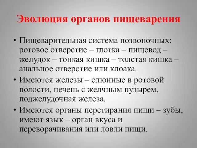 Эволюция органов пищеварения Пищеварительная система позвоночных: ротовое отверстие – глотка