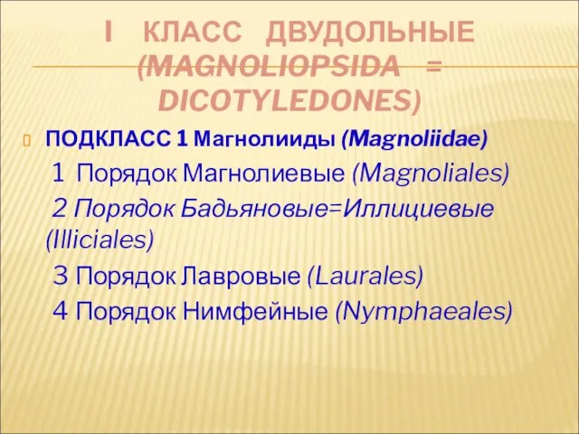 I КЛАСС ДВУДОЛЬНЫЕ (MAGNOLIOPSIDA = DICOTYLEDONES) ПОДКЛАСС 1 Магнолииды (Magnoliidae)