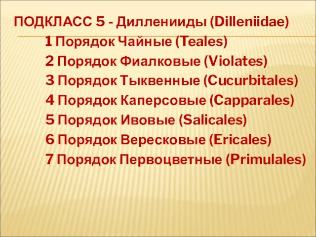 ПОДКЛАСС 5 - Дилленииды (Dilleniidae) 1 Порядок Чайные (Teales) 2