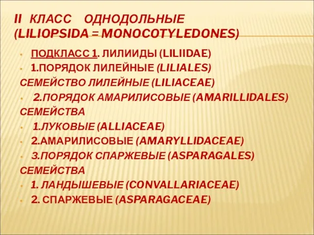 II КЛАСС ОДНОДОЛЬНЫЕ (LILIOPSIDA = MONOCOTYLEDONES) ПОДКЛАСС 1. ЛИЛИИДЫ (LILIIDAE)