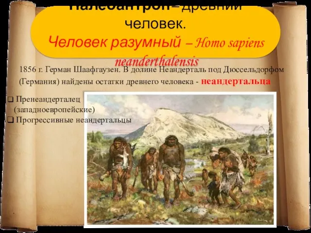 Палеоантроп– древний человек. Человек разумный – Homo sapiens neanderthalensis 1856
