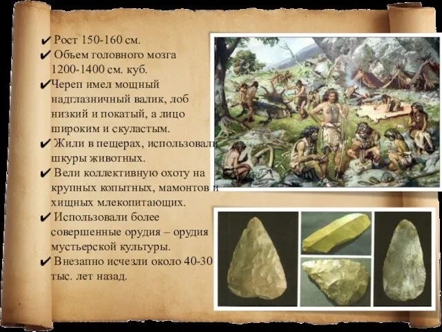 Рост 150-160 см. Объем головного мозга 1200-1400 см. куб. Череп имел мощный надглазничный