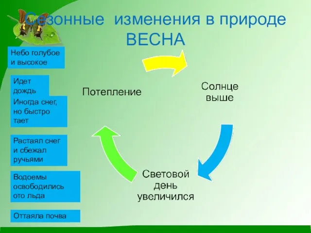 Сезонные изменения в природе ВЕСНА Небо голубое и высокое Идет