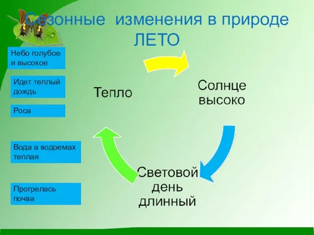 Сезонные изменения в природе ЛЕТО Небо голубое и высокое Идет