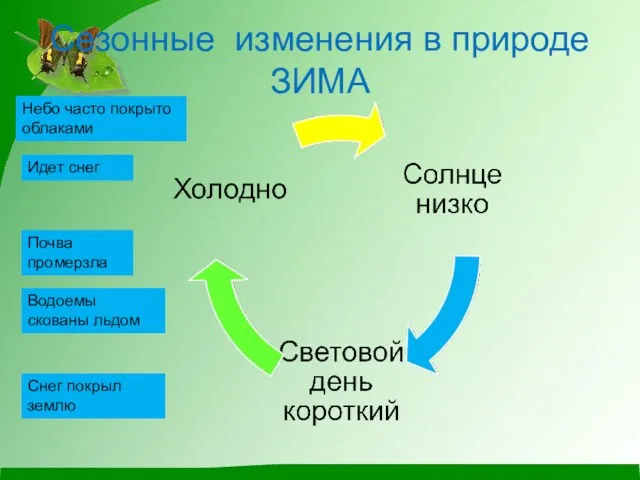 Сезонные изменения в природе ЗИМА Небо часто покрыто облаками Идет