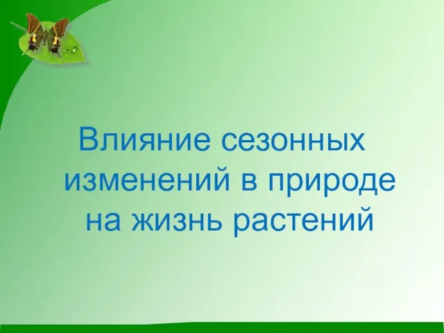 Влияние сезонных изменений в природе на жизнь растений