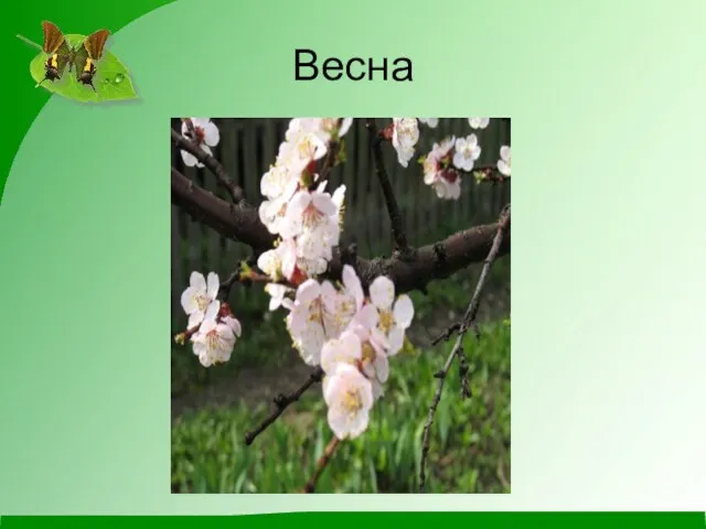 Весна