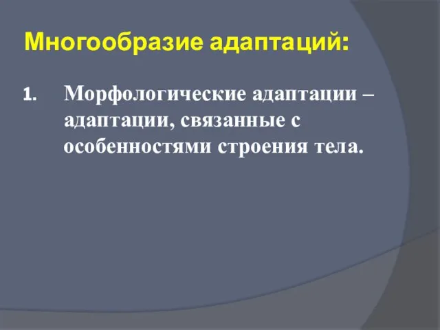 Многообразие адаптаций: Морфологические адаптации – адаптации, связанные с особенностями строения тела.