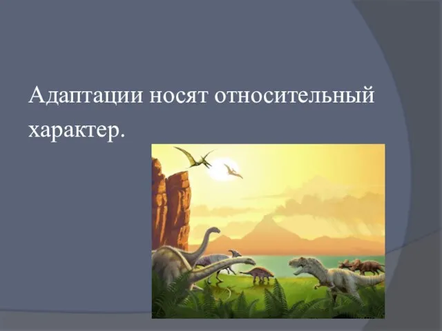 Адаптации носят относительный характер.